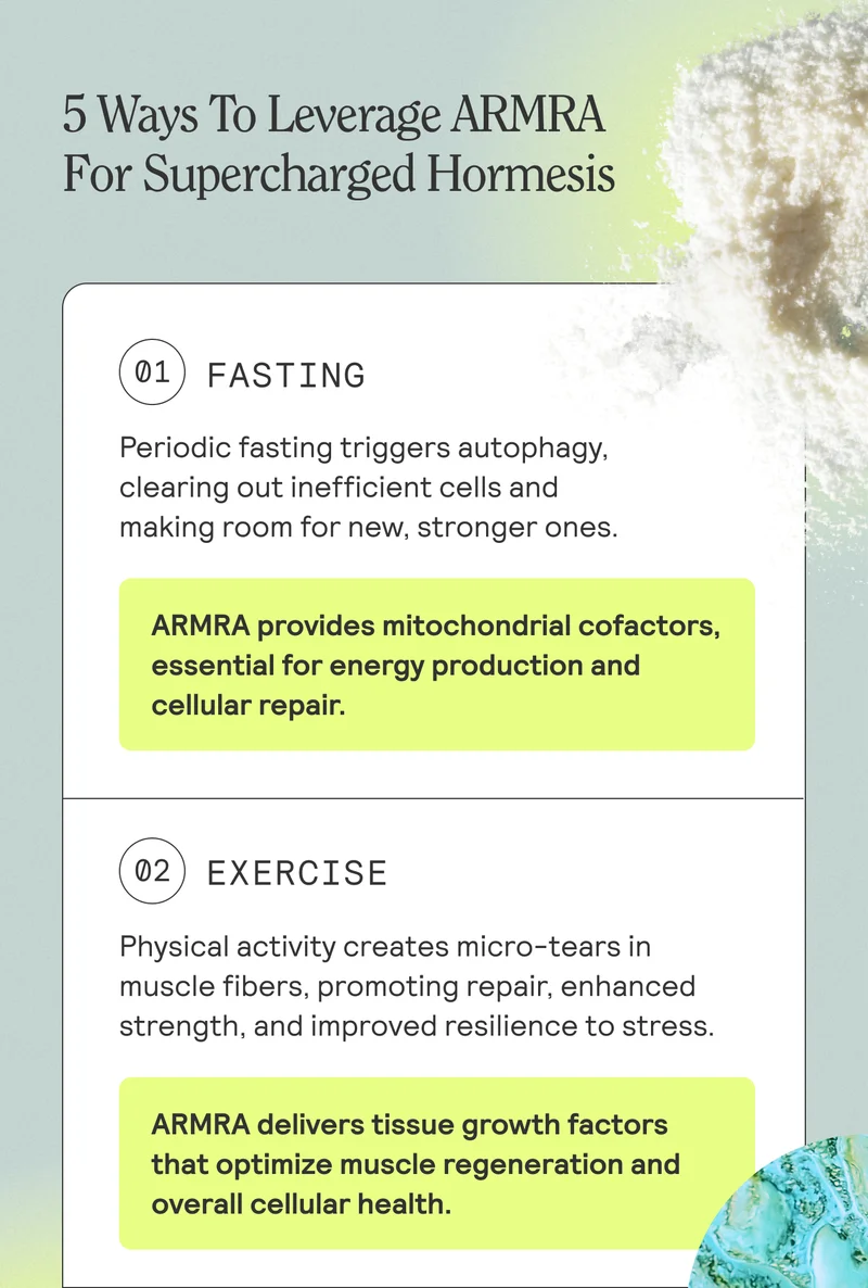5 Ways To Leverage ARMRA For Supercharged Hormesis. 1. FASTING Periodic fasting triggers autophagy. clearing out inefficient cells and making room for new, stronger ones. ARMRA provides mitochondrial cofactors, essential for energy production and cellular repair. 2. EXERCISE Physical activity creates micro-tears in muscle fibers, promoting repair, enhanced strength, and improved resilience to stress. ARMRA delivers tissue growth factors that optimize muscle regeneration and overall cellular health.