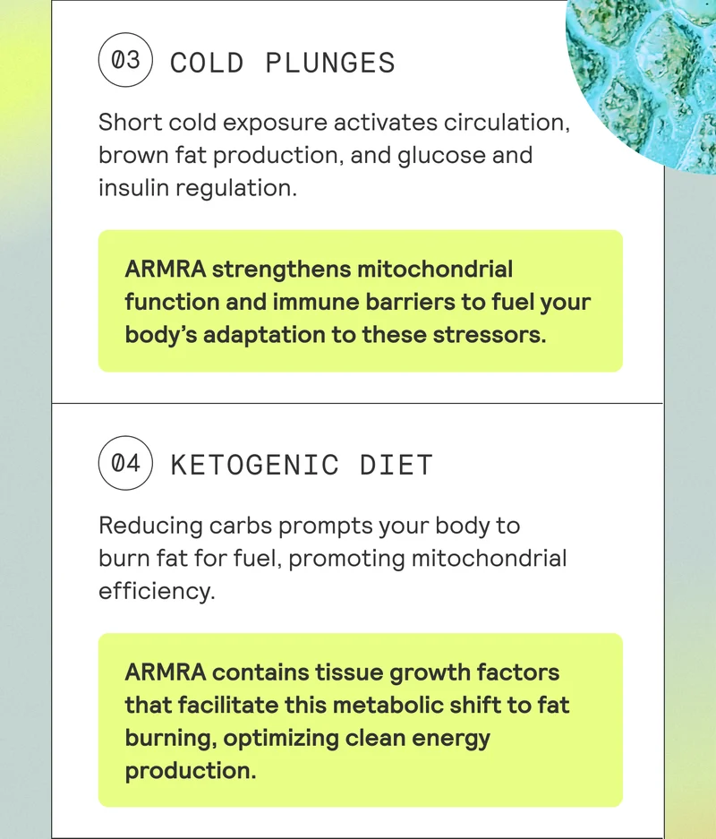 3. COLD PLUNGES Short cold exposure activates circulation, brown fat production, and glucose and insulin regulation. ARMRA strengthens mitochondrial function and immune barriers to fuel your body's adaptation to these stressors. 4. KETOGENIC DIET Reducing carbs prompts your body to burn fat for fuel, promoting mitochondrial efficiency. ARMRA contains tissue growth factors that facilitate this metabolic shift to fat burning, optimizing clean energy production.