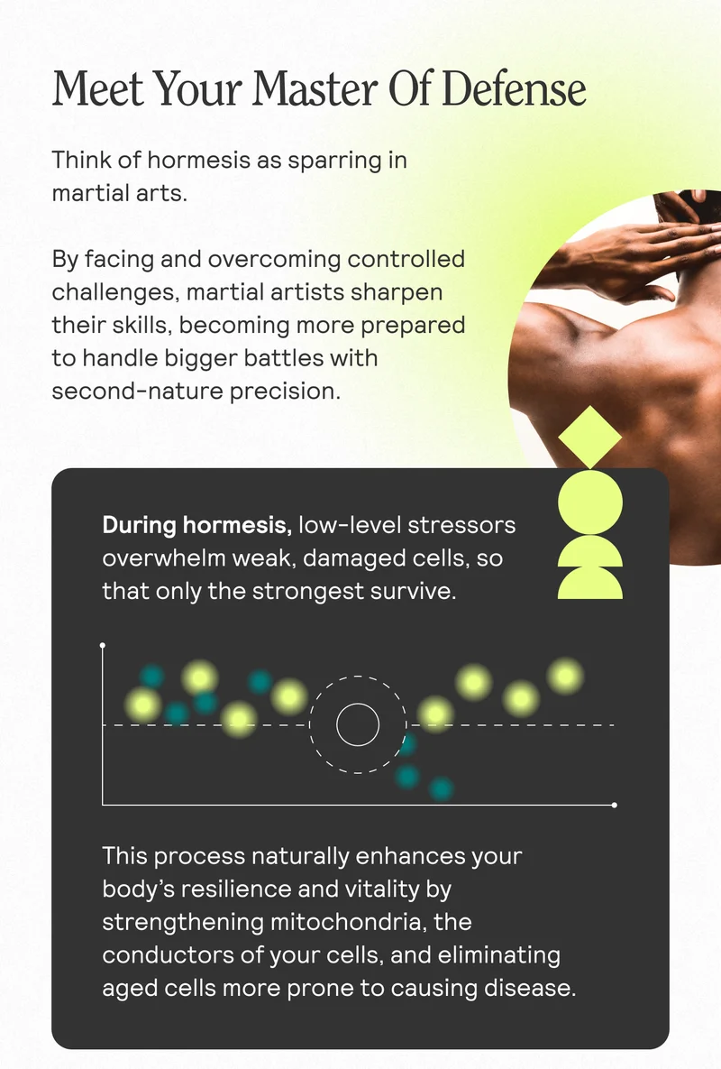 Meet Your Master Of Detense. Think of hormesis as sparring in martial arts. By facing and overcoming controlled challenges, martial artists sharpen their skills, becoming more prepared to handle bigger battles with second-nature precision. ^ Dra During hormesis, low-level stressors overwhelm weak, damaged cells, so that only the strongest survive. This process naturally enhances your body's resilience and vitality by strengthening mitochondria, the conductors of your cells, and eliminating aged cells more prone to causing disease.