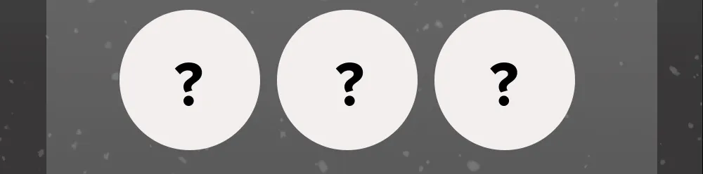 Bundle options