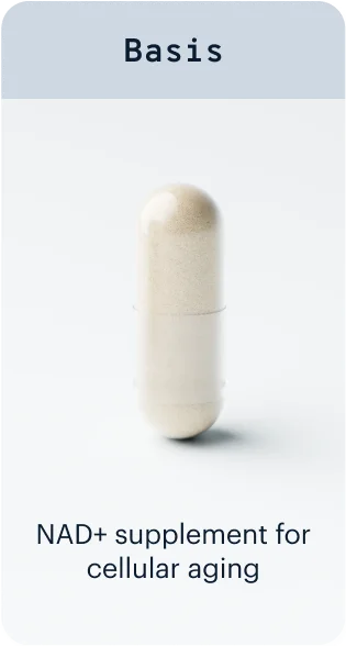 Basis