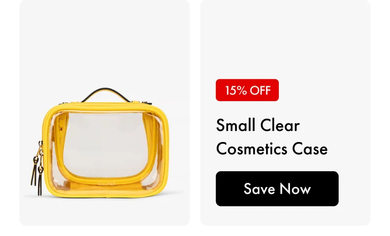 Small Clear Cosmetics Case