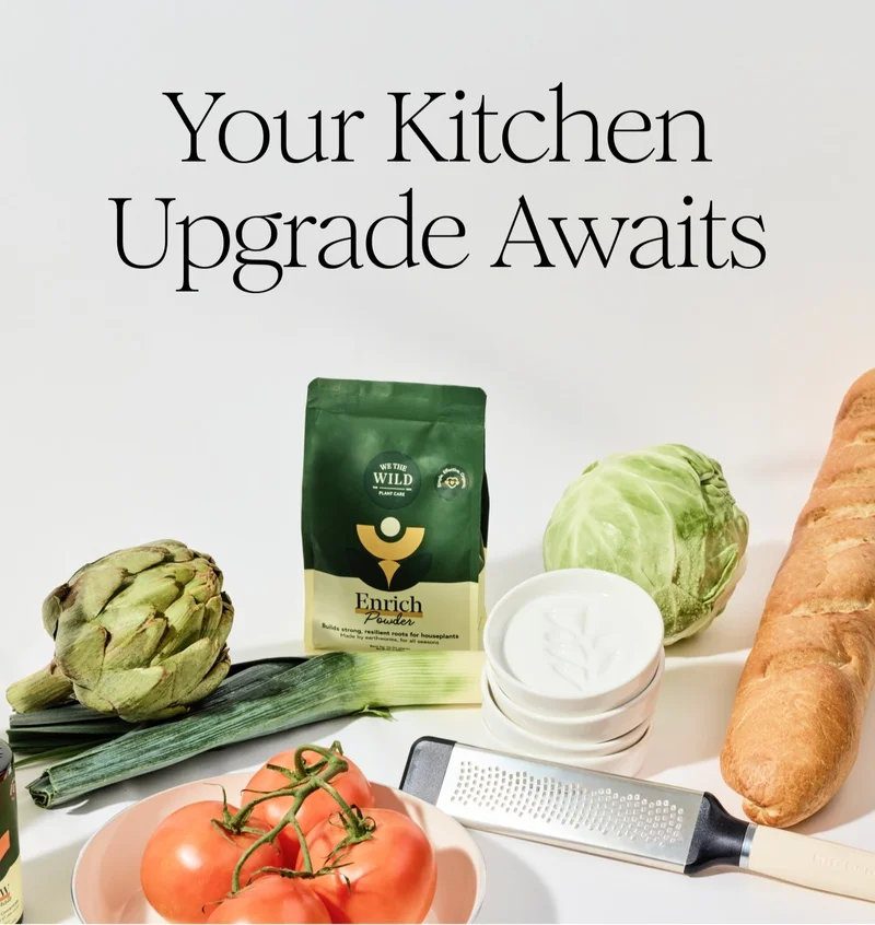 Your Kitchen Upgrade Awaits