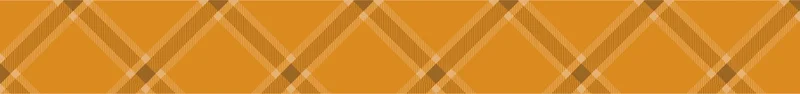 plaid banner