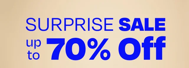 Surprise Sale - Image