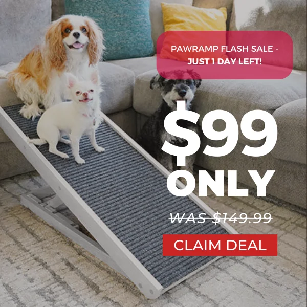 PawRamp Sale