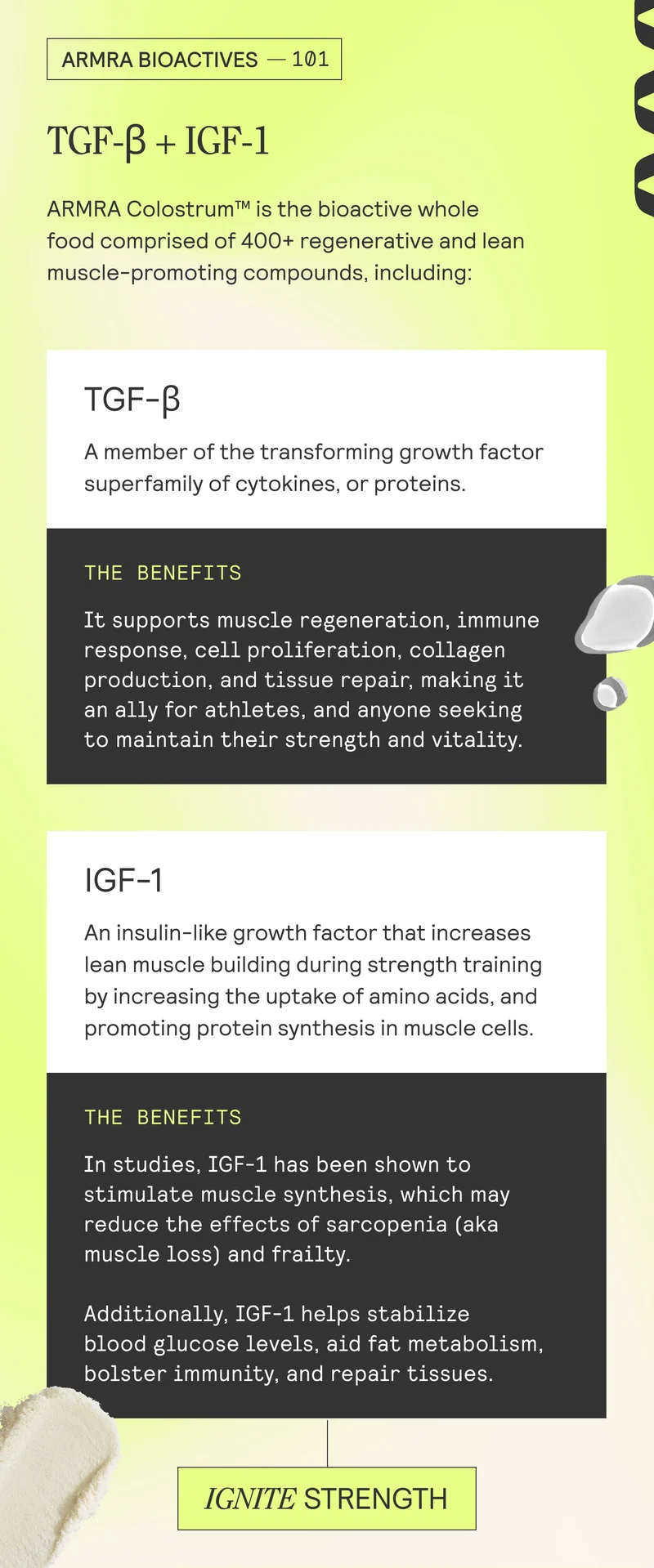 ARMRA Colostrum™ is the bioactive whole food comprised of 400+ regenerative and lean muscle-promoting compounds, including: