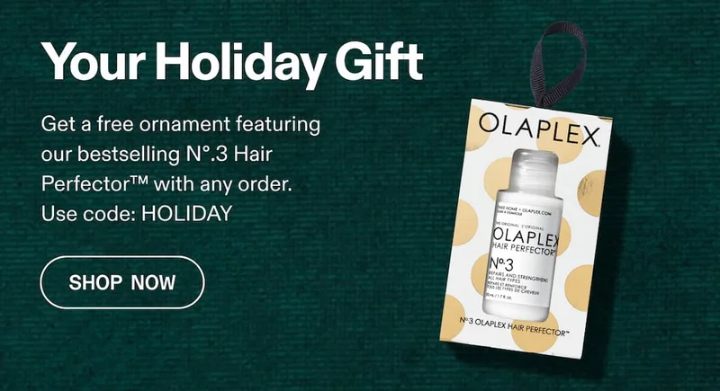 Your Holiday Gift | Shop Now