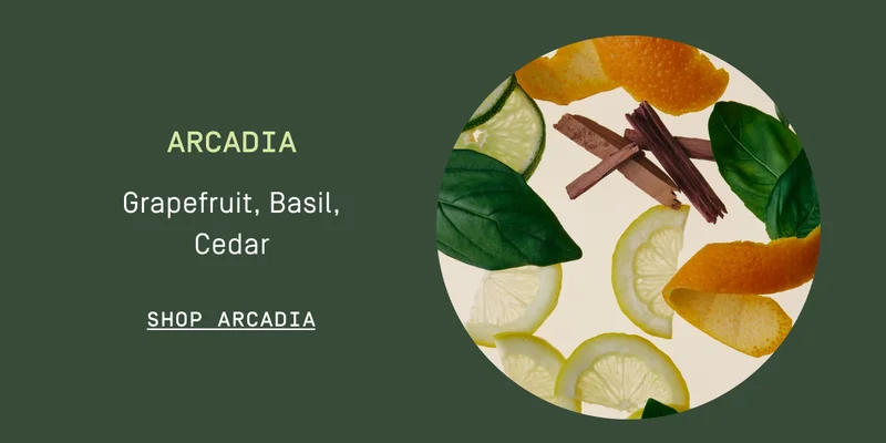 Arcadia | Shop Arcadia