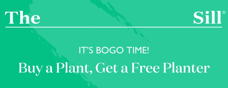 It's BOGO time! Buy a Plant, Get a Free Planter.