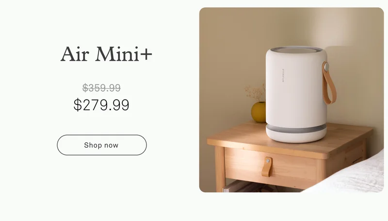 Air Mini+