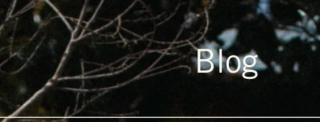 Blog