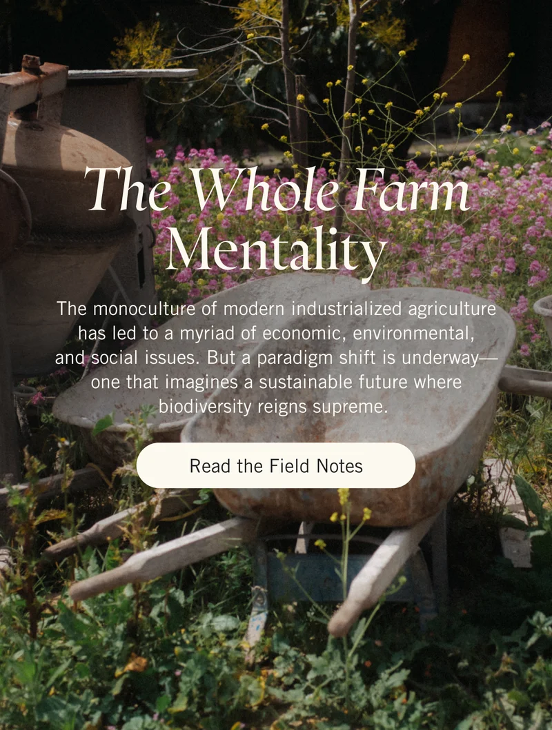 The Whole Farm Mentality. The monoculture of modern industrialized agriculture has led to a myriad of economic, environmental, and social issues. But a paradigm shift is underway—one that imagines a sustainable future where biodiversity reigns supreme. Read the Field Notes.