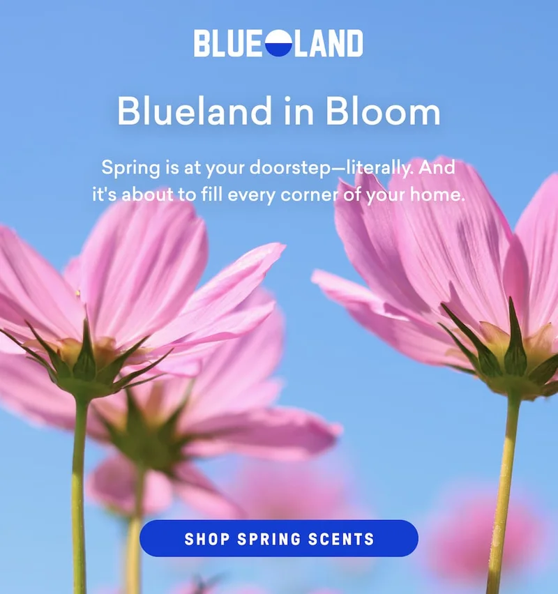 Shop Blueland favorites!