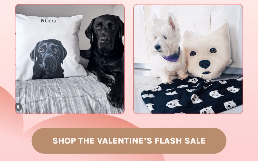 Shop Valentine's Flash Sale