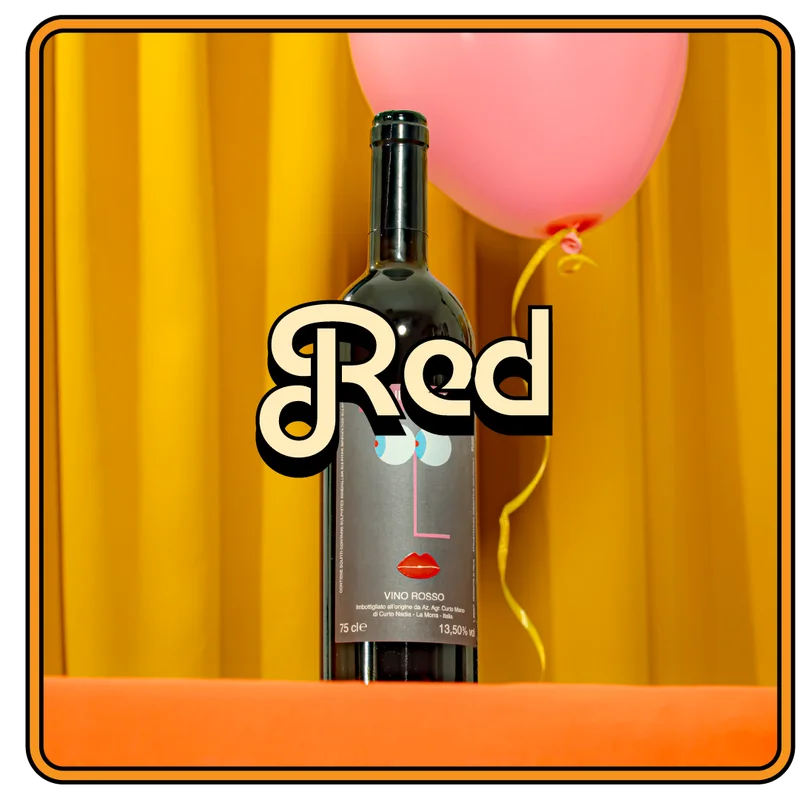 Red wine birthday shoot.