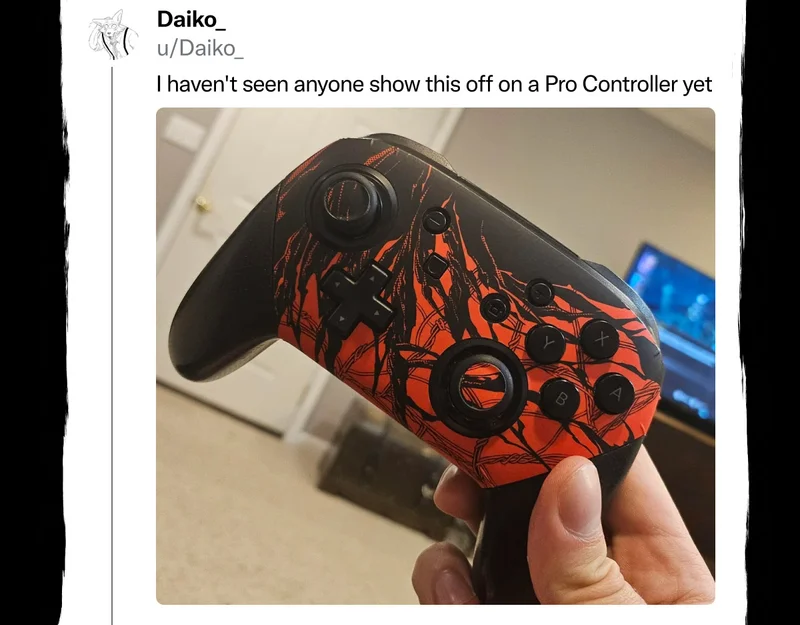 Daiko_ on Reddit: "I haven't seen anyone show this off on a Pro Controller yet"