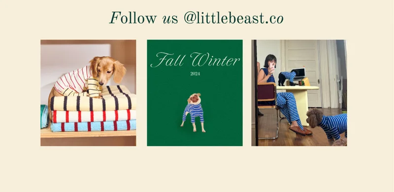 Follow us on Instagram