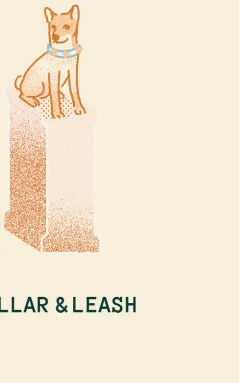 Collar & Leash