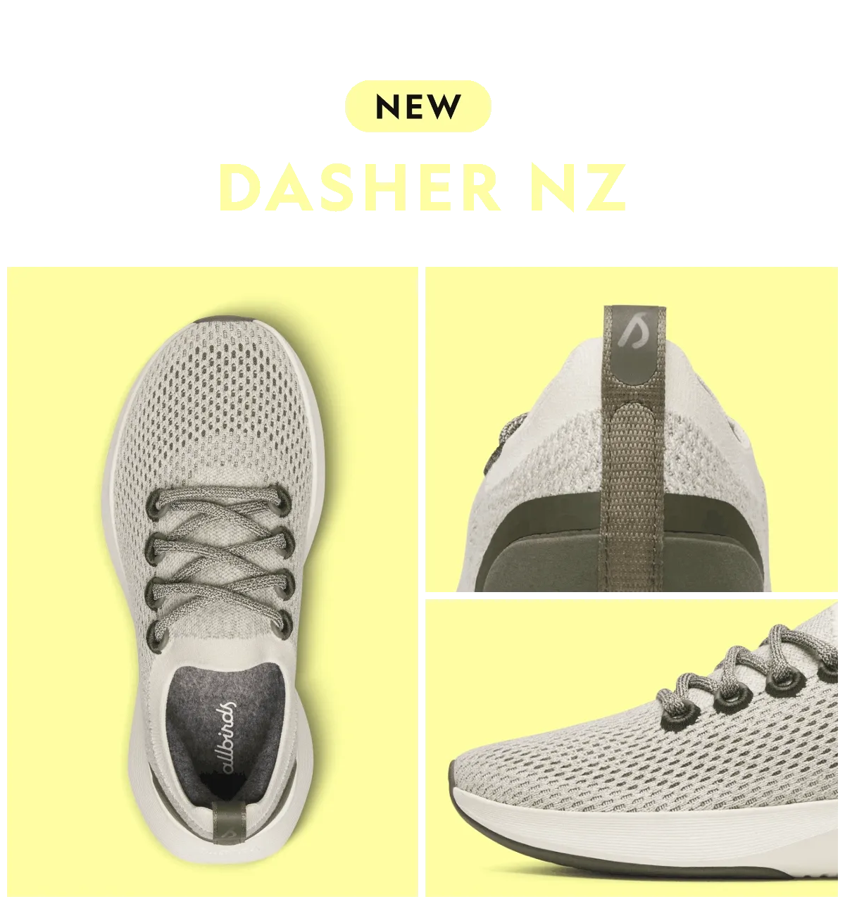 Dasher NZ