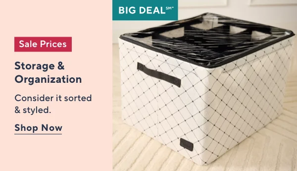 storage sale