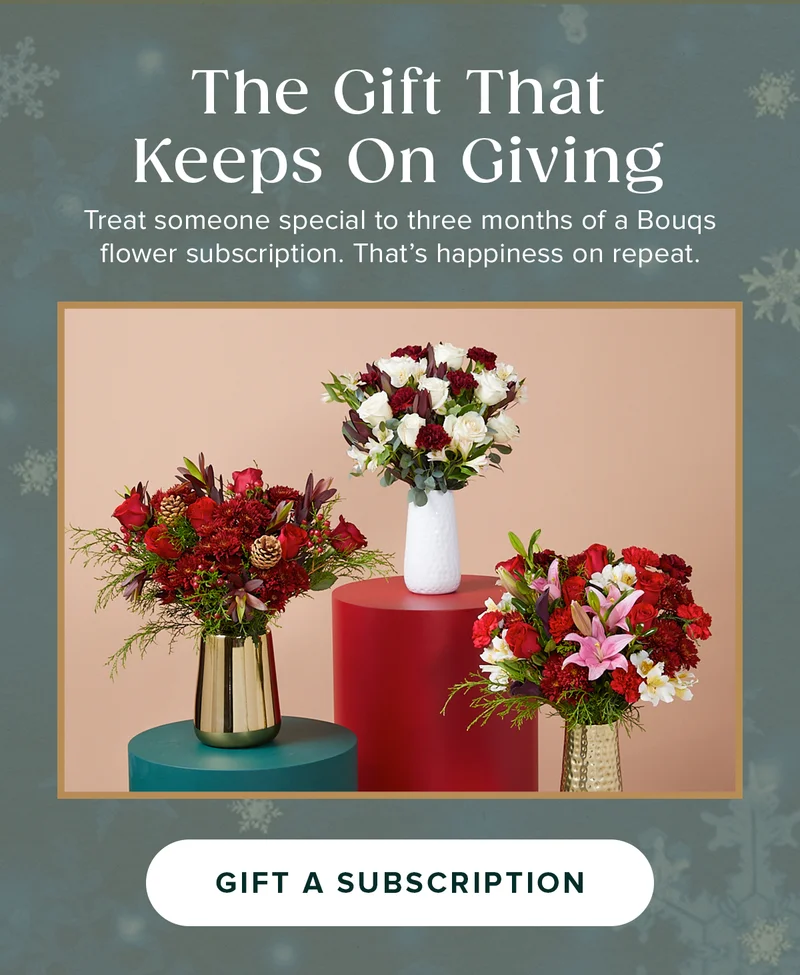 The Gift That Keeps On Giving Treat someone special to three months of a Bougs flower subscription. That's happiness on repeat. GET A SUBSCRIPTION