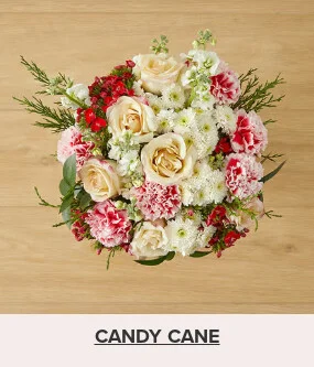 Flowers At a Great Price