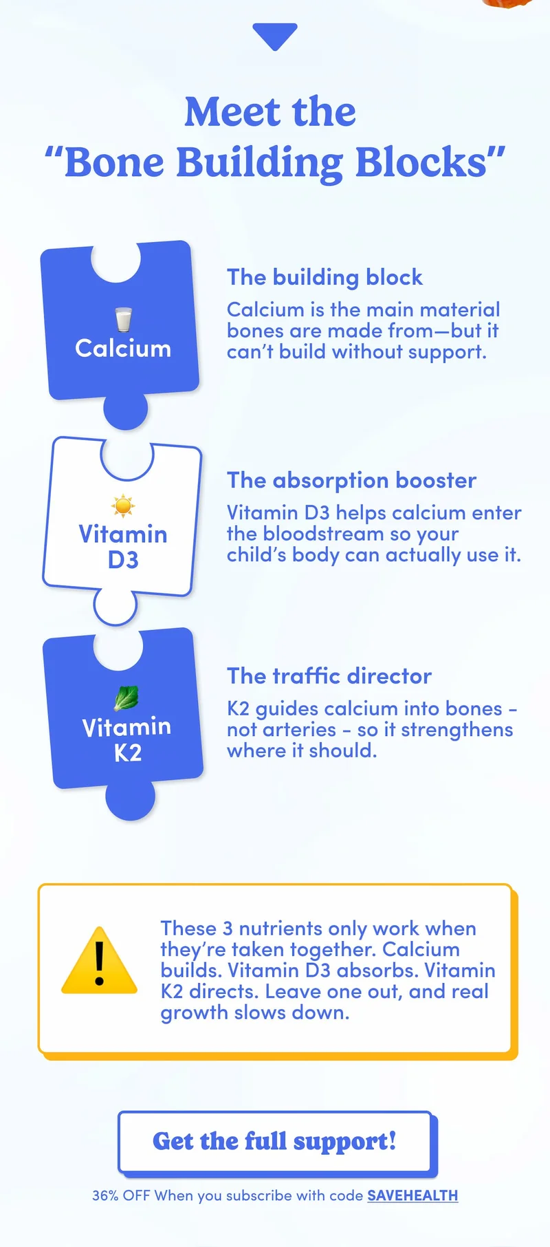 Meet the "Bone building blocks"
