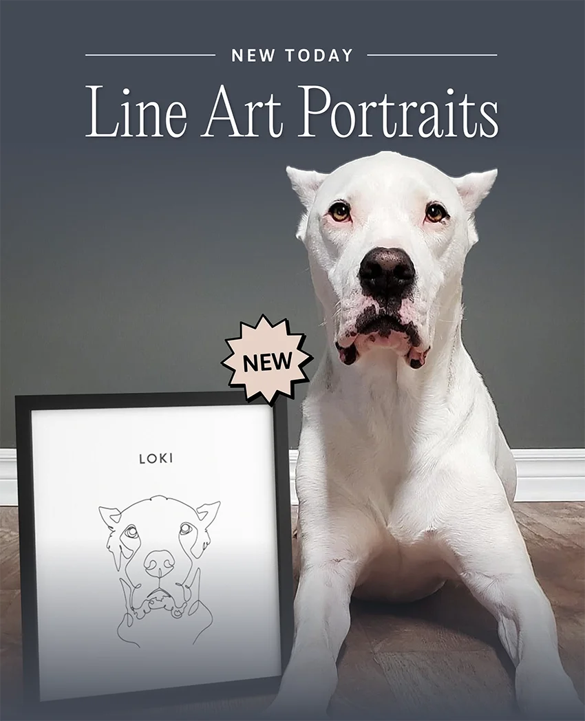 NEW TODAY - Line Art Portraits