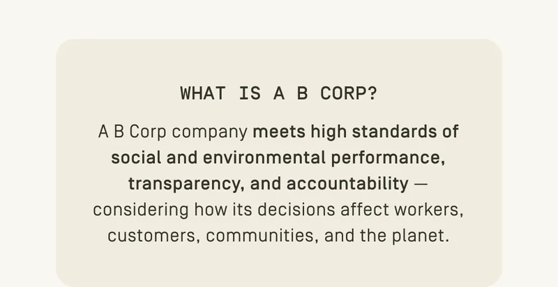 What is a B Corp?