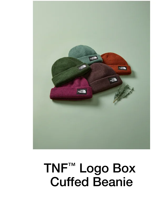 TNF Logo Box Cuffed Beanie