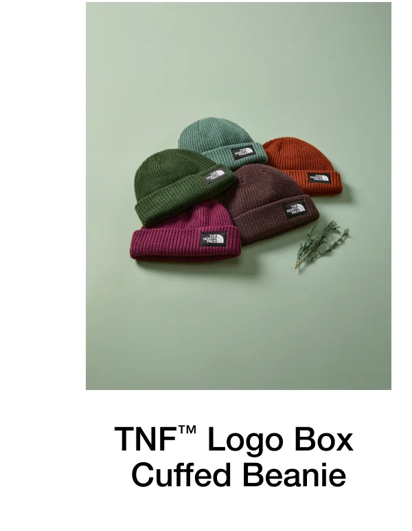 TNF Logo Box Cuffed Beanie