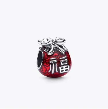 Lucky Bag Charm