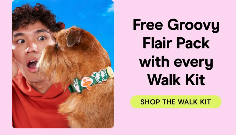 FREE GROOVY FLAIR PACK WITH EVERY WALK KIT shop the walk kit