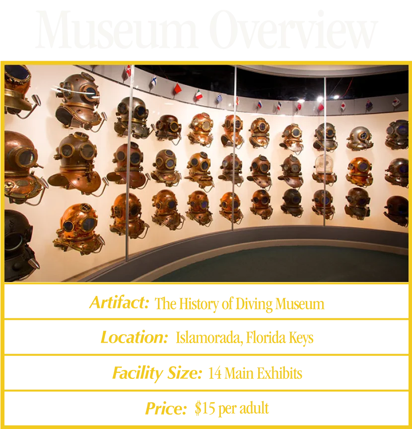 Museum Overview