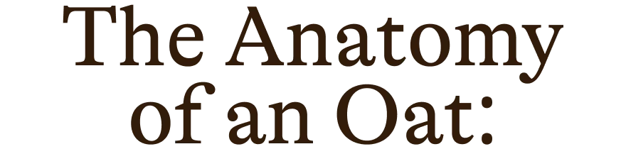 The Anatomy of an Oat: