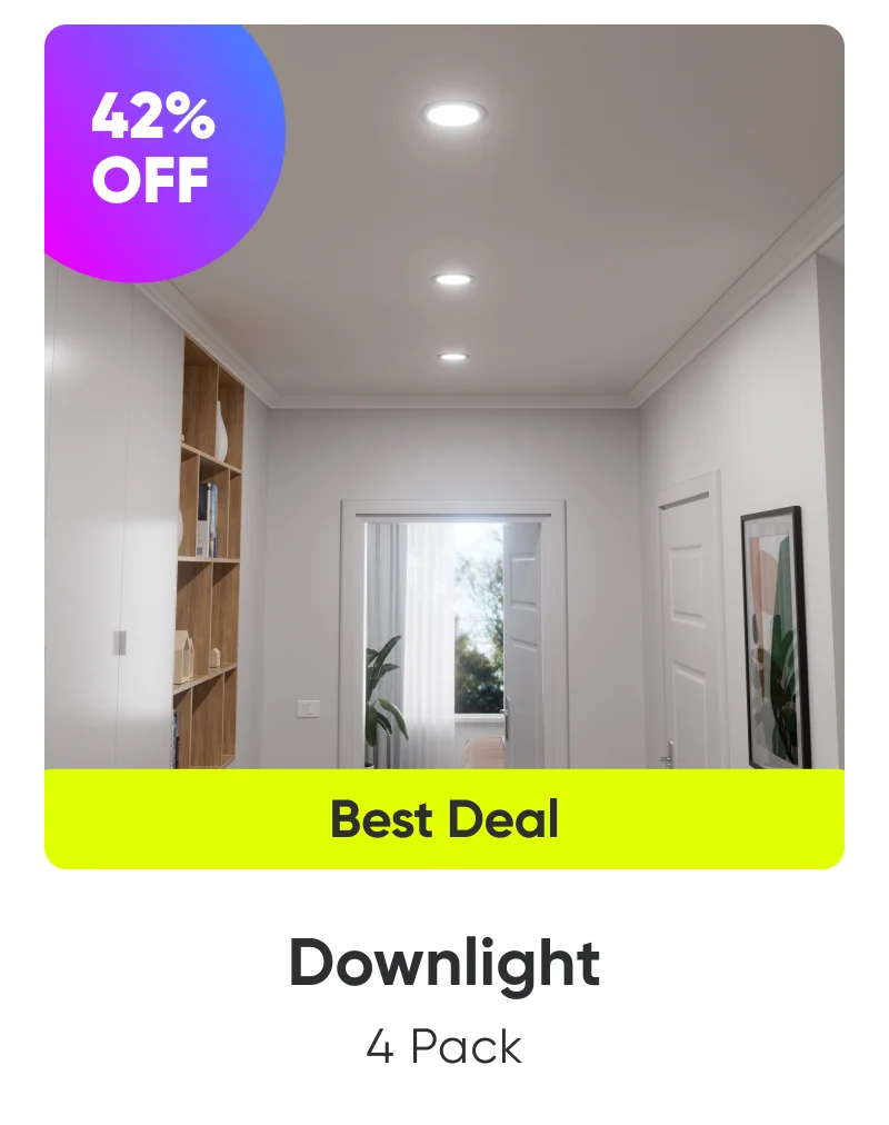Downlight 4 Pack