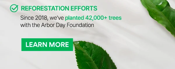 REFORESTATION EFFORTS
