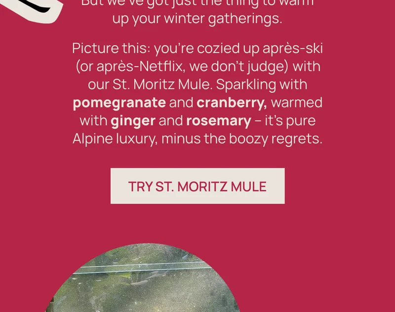 Try st. moritz mule