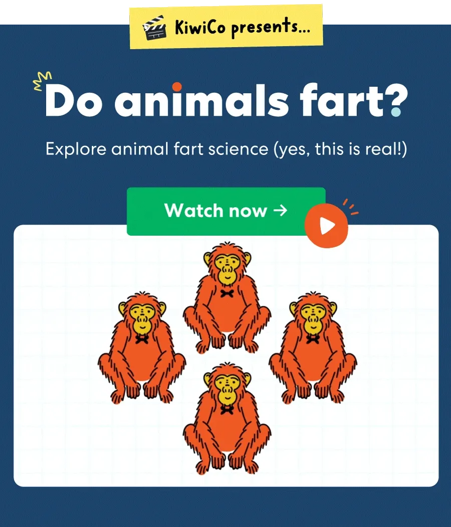 Animal Fart Science (Yes, This Is Real) | KiwiCo