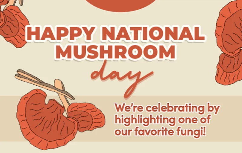 Happy National Mushroom Day | We're celebrating by highlighting one of our favorite fungi!