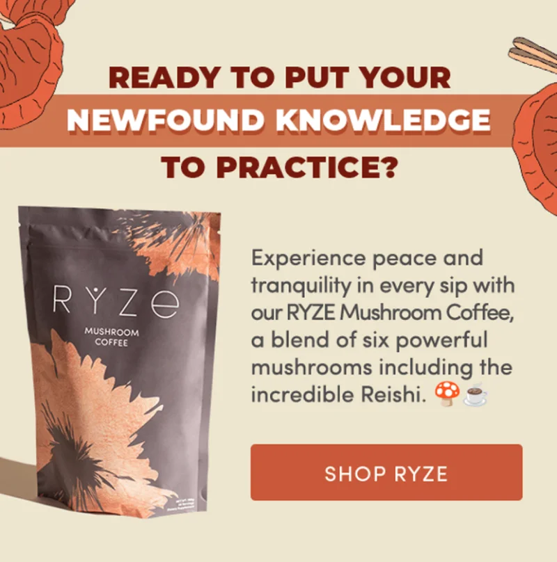 Ready to put your newfound knowledge to practice? |Experience wellness in every sip with our RYZE Coffee, a blend of six powerful mushrooms including the incredible Reishi. |  Shop Ryze