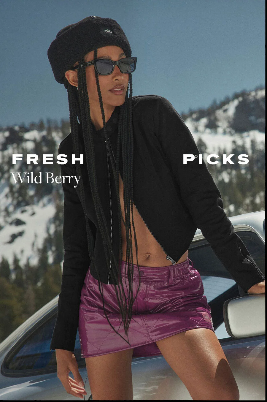 FRESH PICKS WILD BERRY