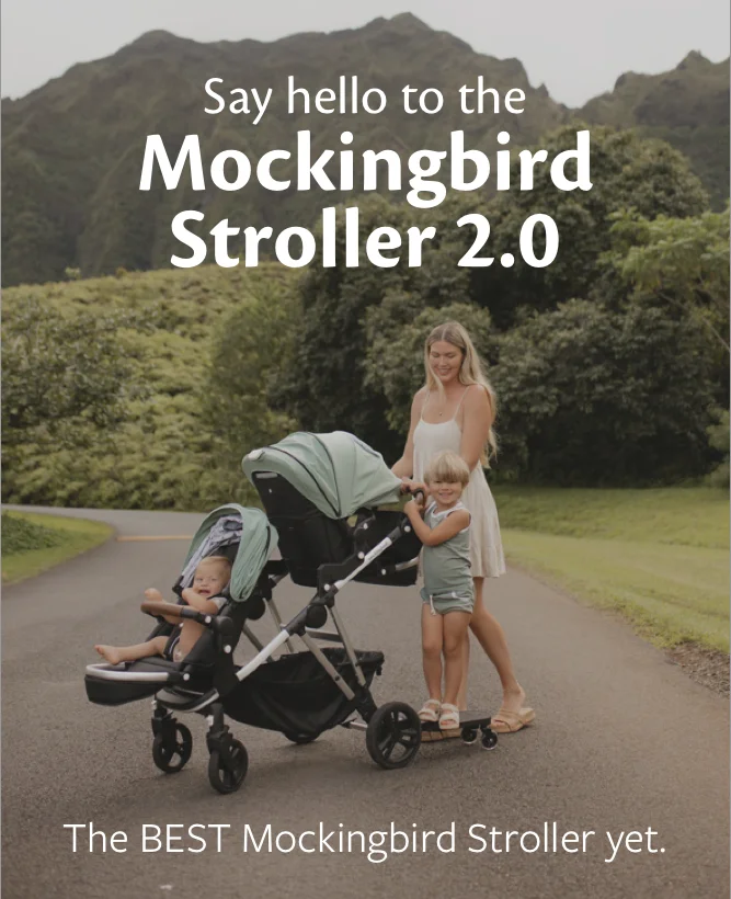 Mockingbird Stroller 2.0
