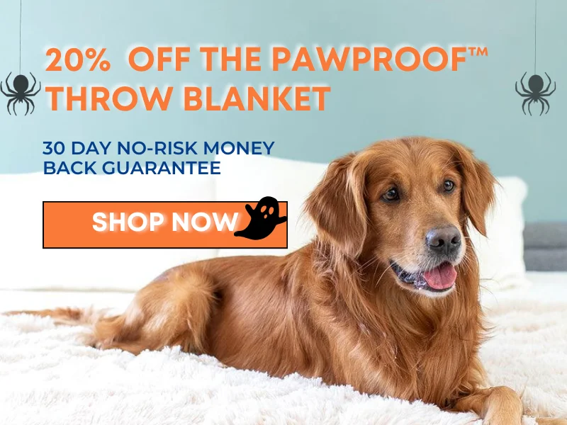 Halloween Sale