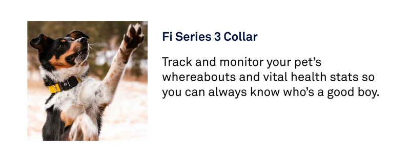 Fi Series 3 Collar