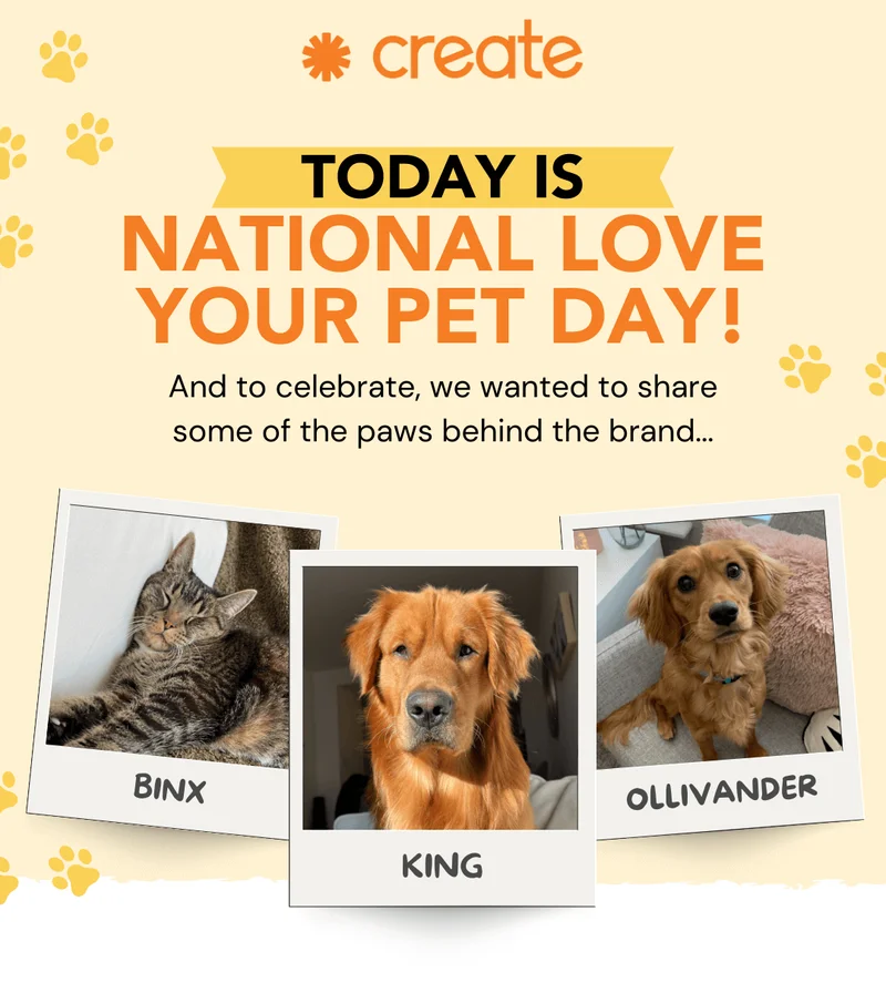 National Love Your Pet Day