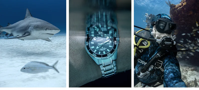 Underwater images of a shark, fish, diver and a person wearing Promaster Dive