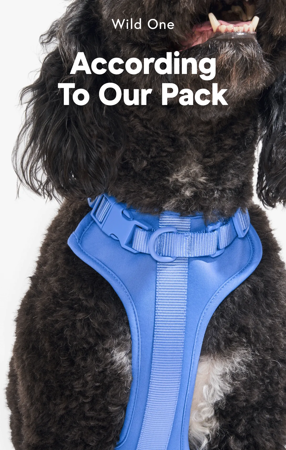 According to our pack