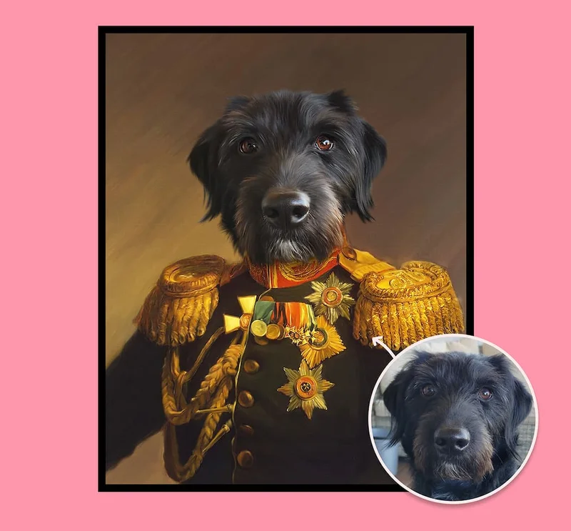 A before and after image of The Veteran pet portrait